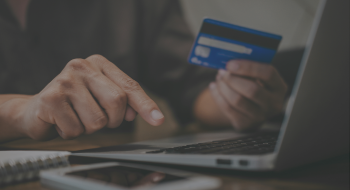 DirectPay, DirectForm, DirectPost_Resource Image